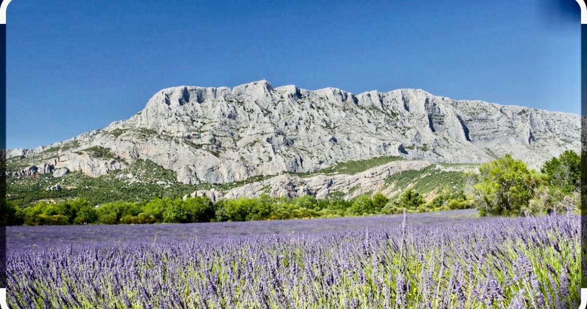Le Clos D'Aix Studio 102 Parking Et Piscine Gratuite Aix-en-Provence Eksteriør bilde
